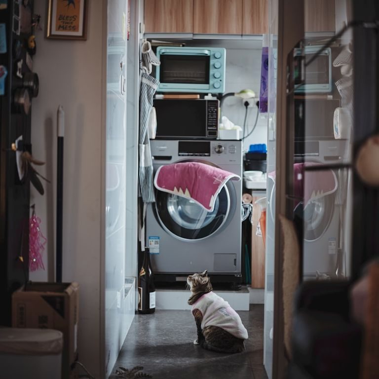 réparation lave-linge à domicile